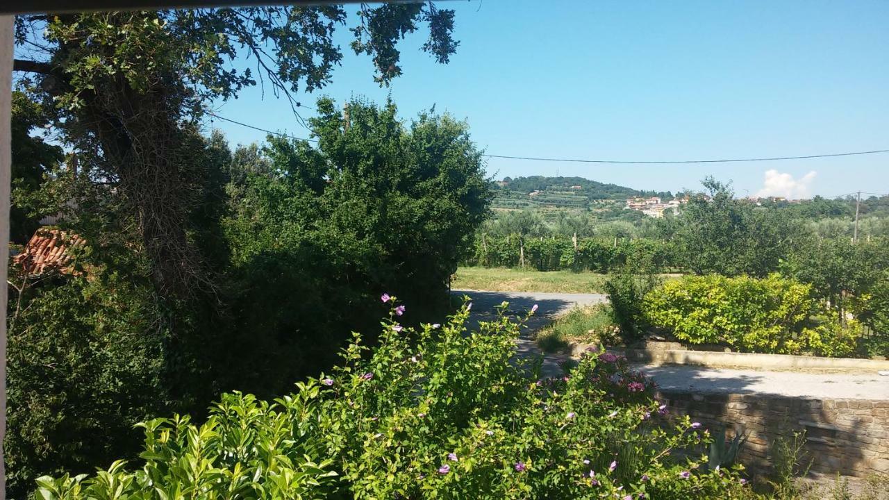 House Barizoni Villa Ankaran Kültér fotó