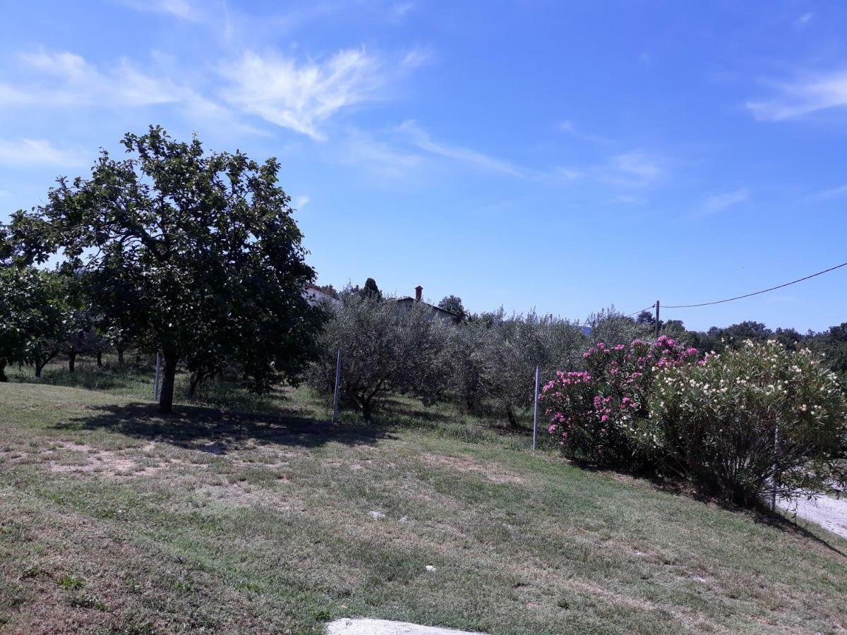 House Barizoni Villa Ankaran Kültér fotó