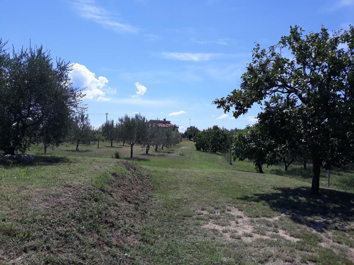 House Barizoni Villa Ankaran Kültér fotó