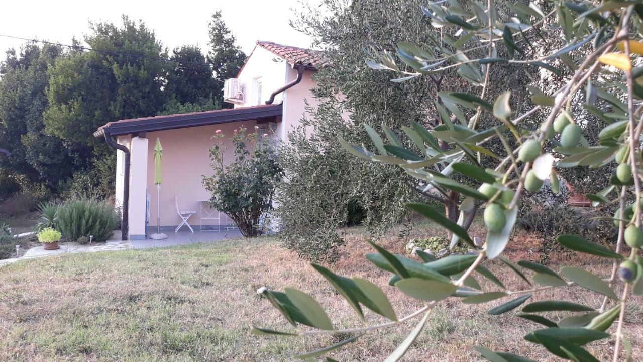 House Barizoni Villa Ankaran Kültér fotó