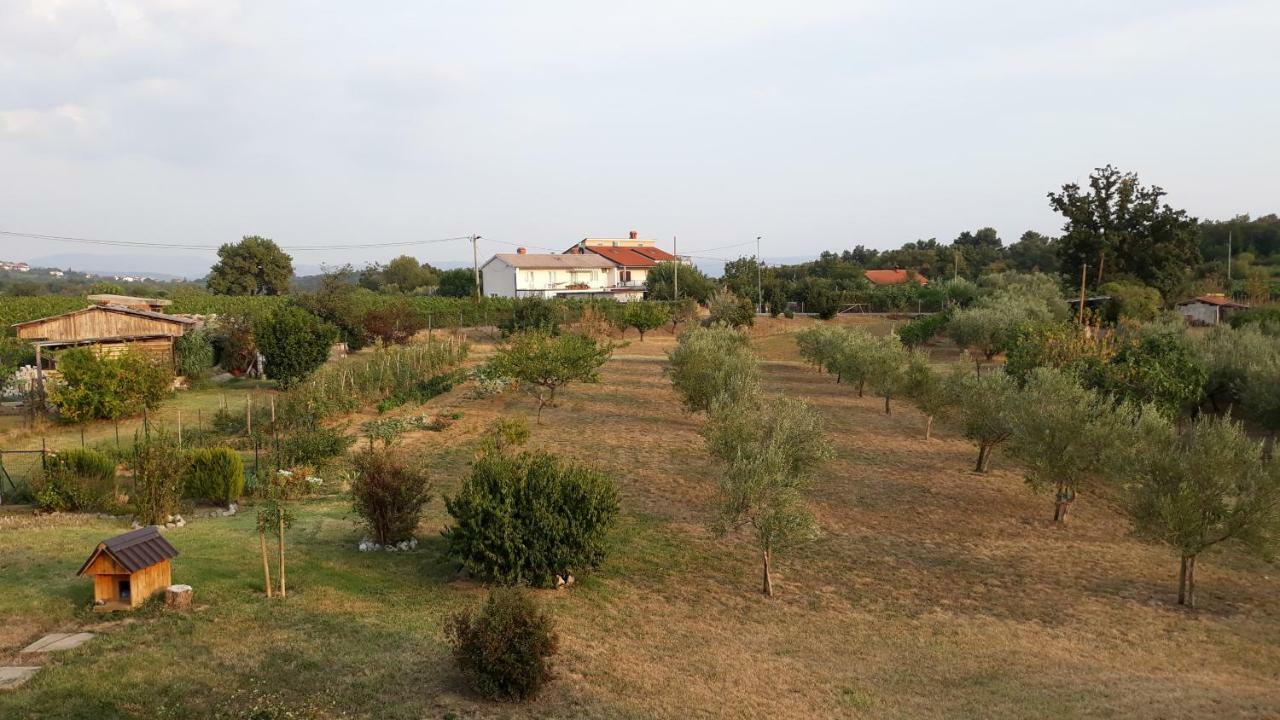 House Barizoni Villa Ankaran Kültér fotó